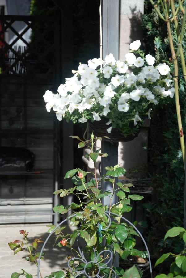 Silver Rowy 로비 외부 사진